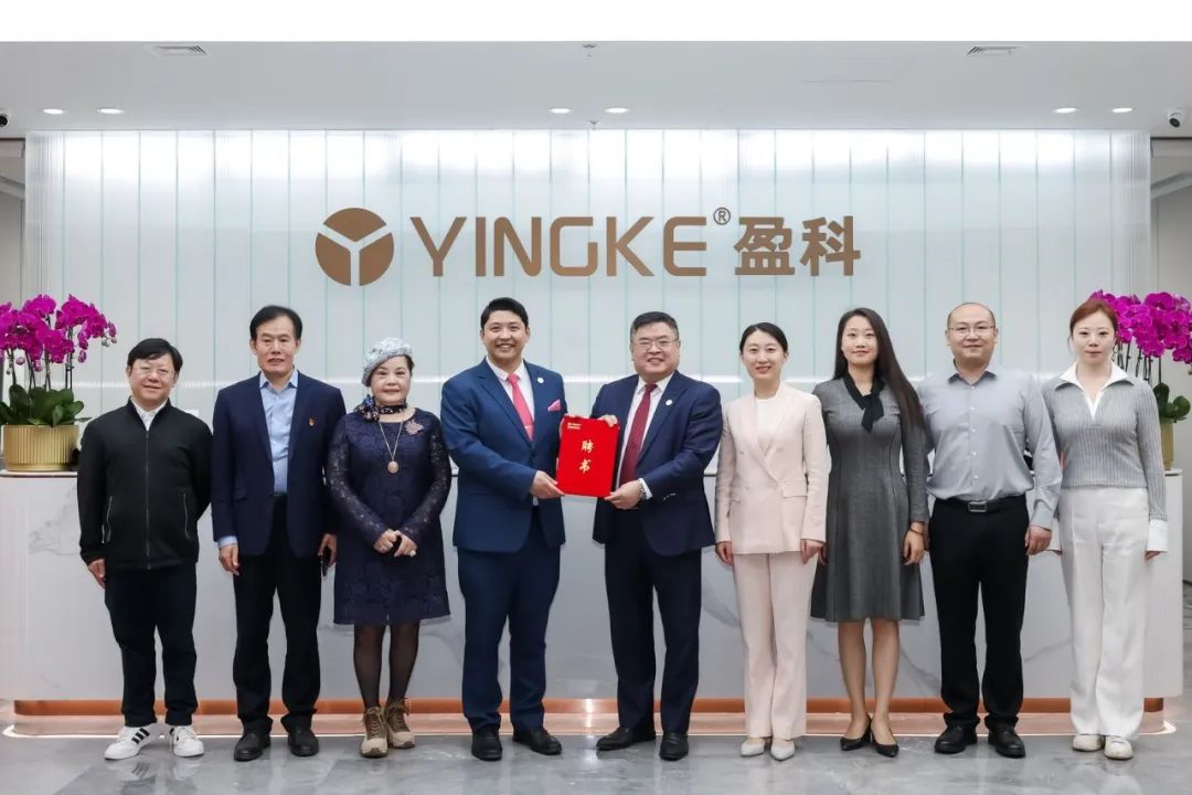 盈科国际|盈科荷兰（筹）执行主任签约仪式圆满完成